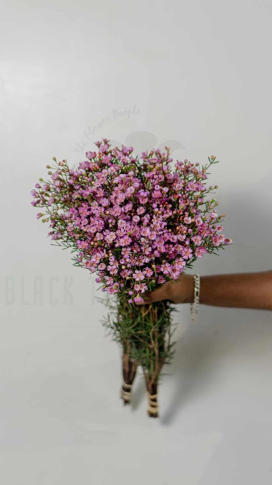 Pink Wax Flowers Bouquet