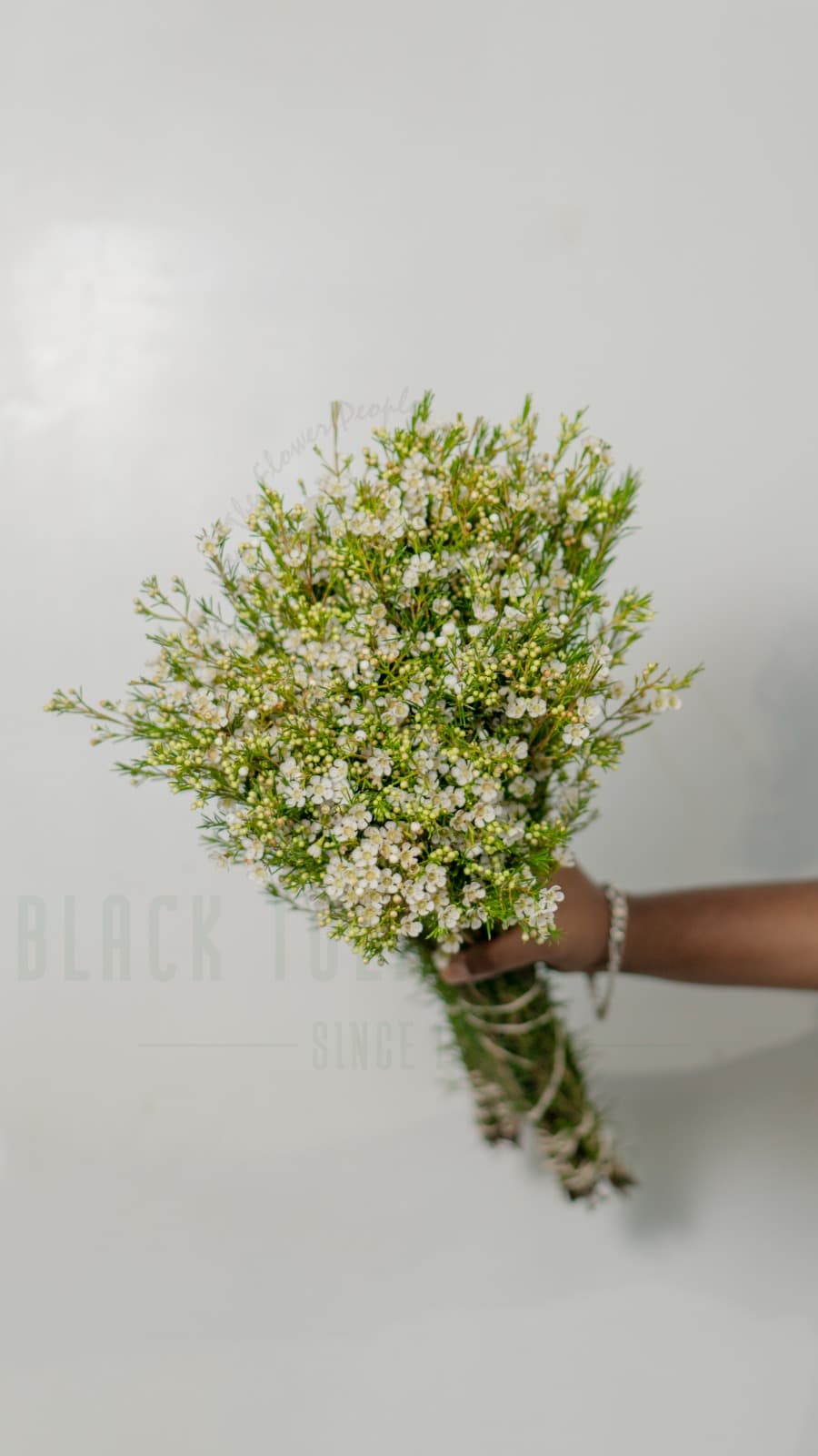 White Lily Arrangement