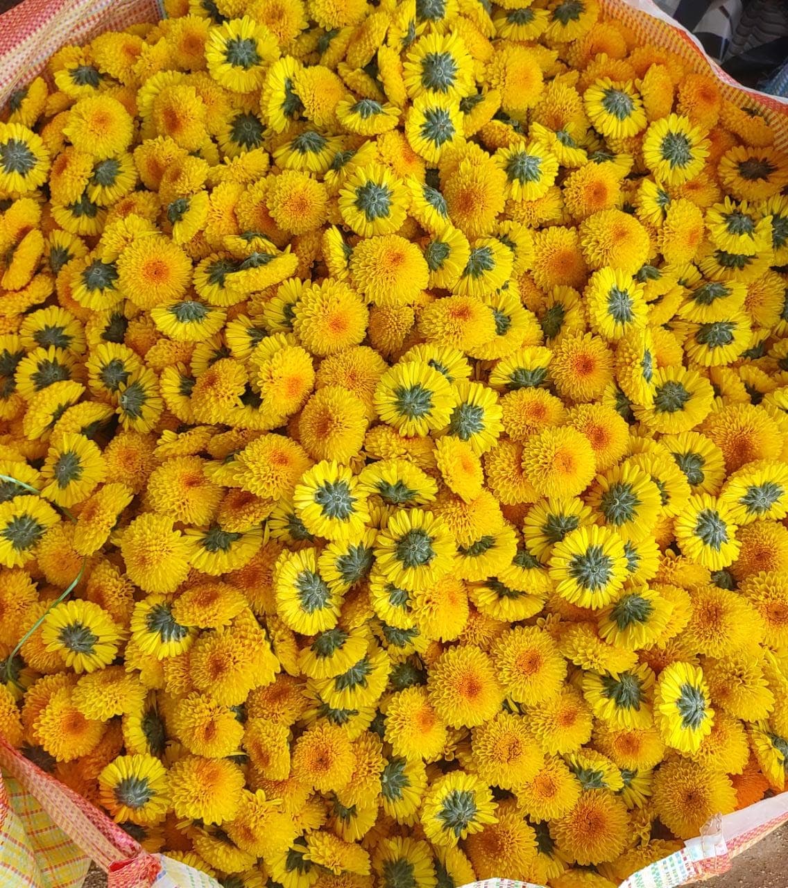 Birthday Flowers