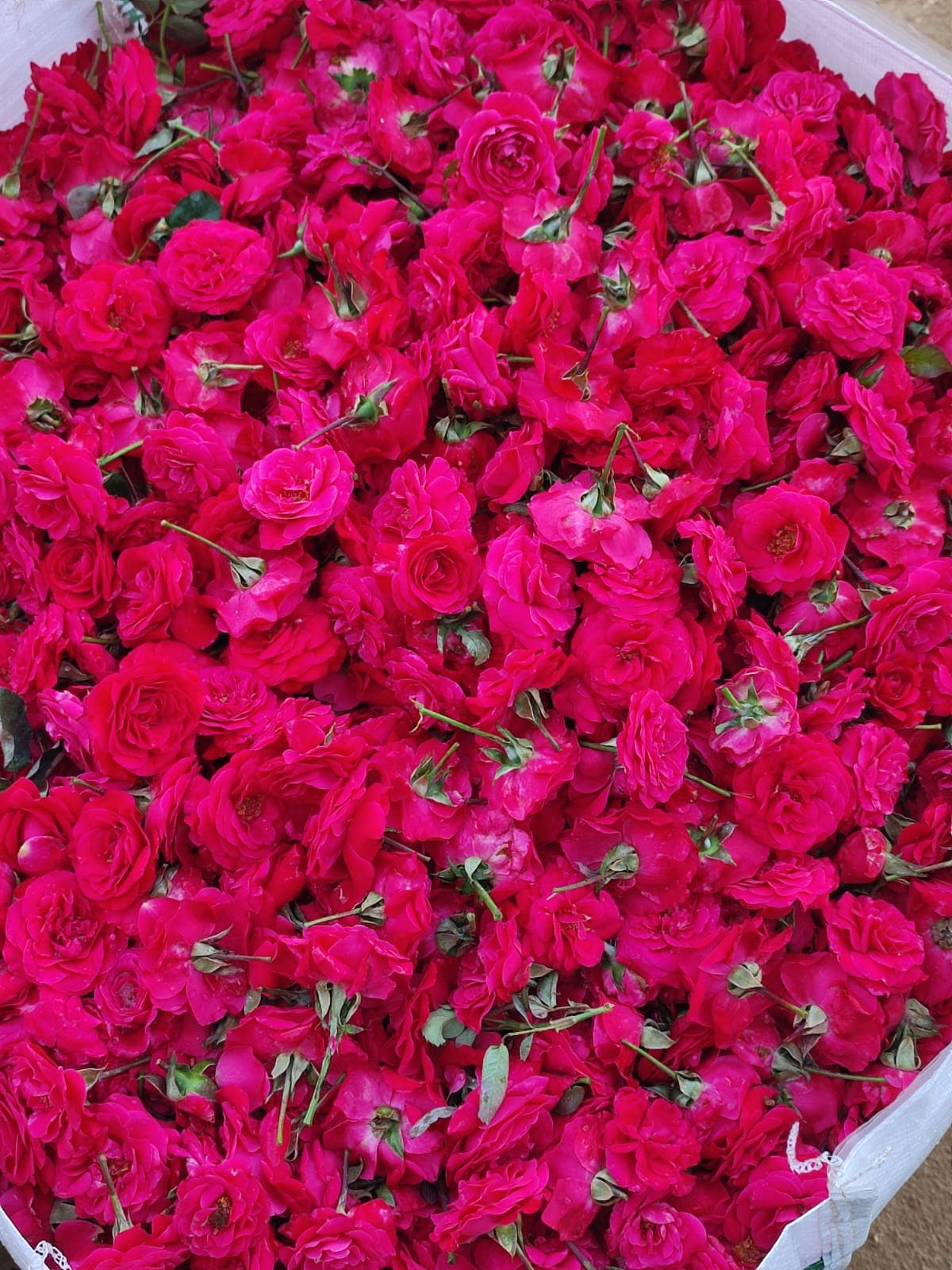 Victorian Rose Bouquet